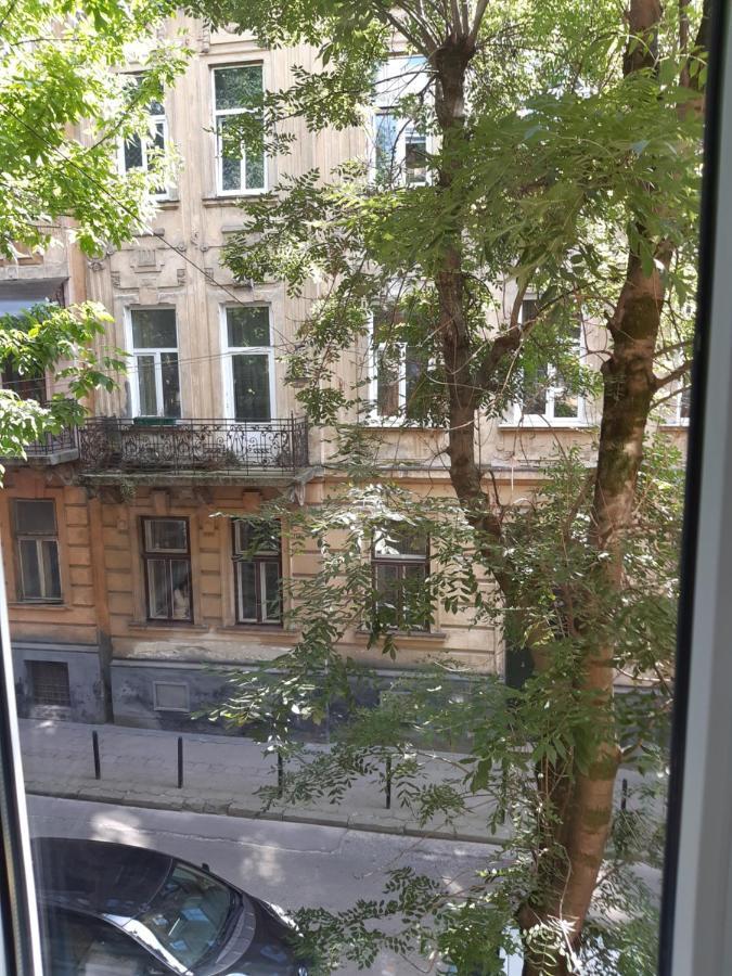 Cosy flat Apartment Lviv Exterior photo