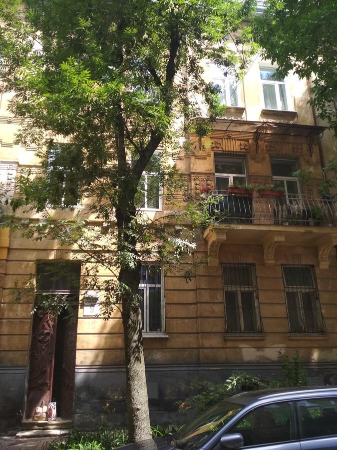 Cosy flat Apartment Lviv Exterior photo